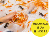 金魚すくい 他にもたくさんの遊びが待ってるよ！